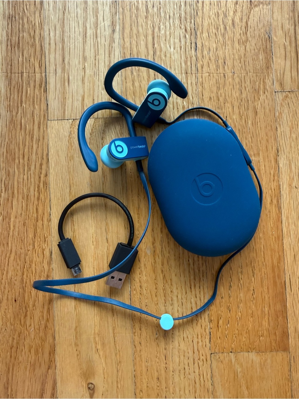 Beats by Dr. Dre Powerbeats3 Wireless Earbuds in Blue with Matching Case